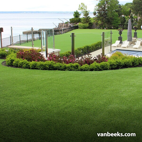 AGL Monte Carlo 60 Turf preview
